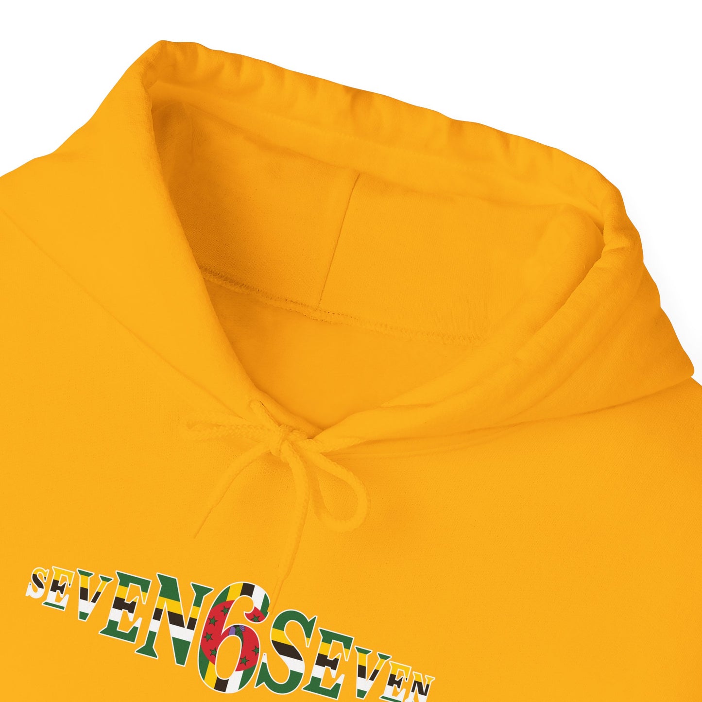 Green 6 Hoodie — Flag Logo