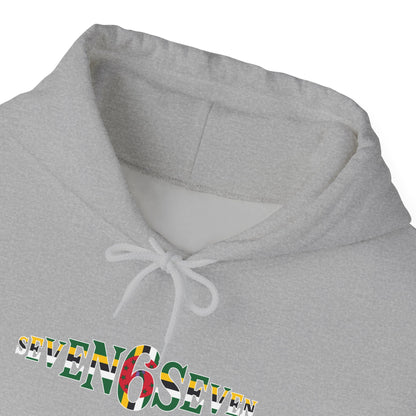 Green 6 Hoodie — Flag Logo