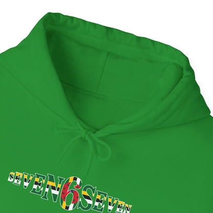Green 6 Hoodie — Flag Logo