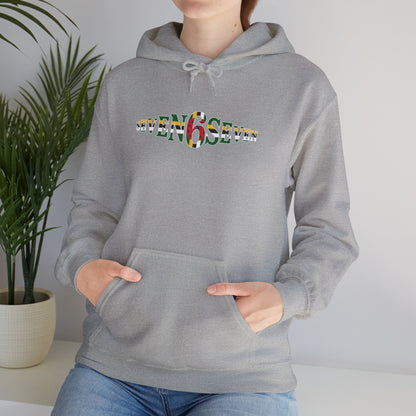 Green 6 Hoodie — Flag Logo