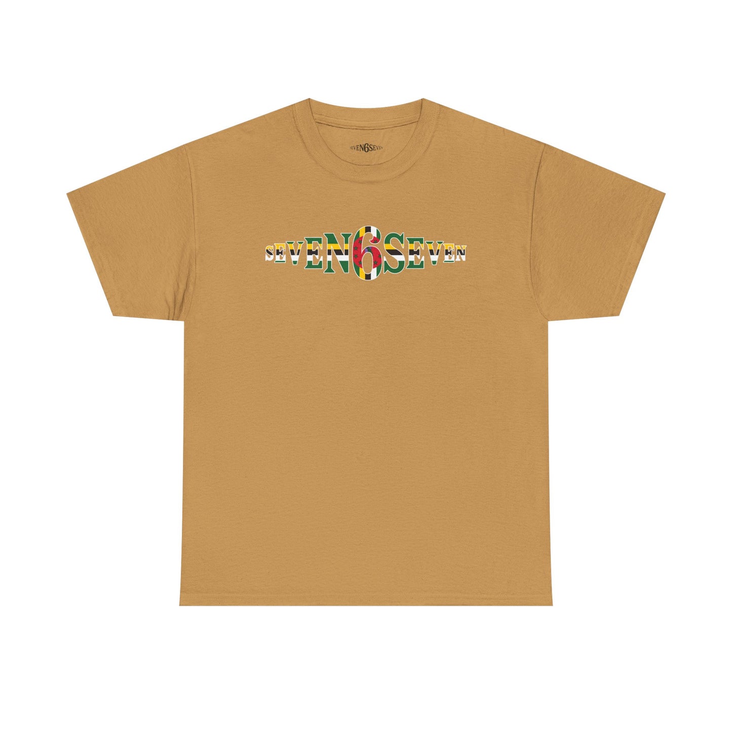 Plain T-Shirt with Flag Logo