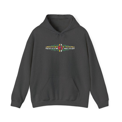 Green 6 Hoodie — Flag Logo